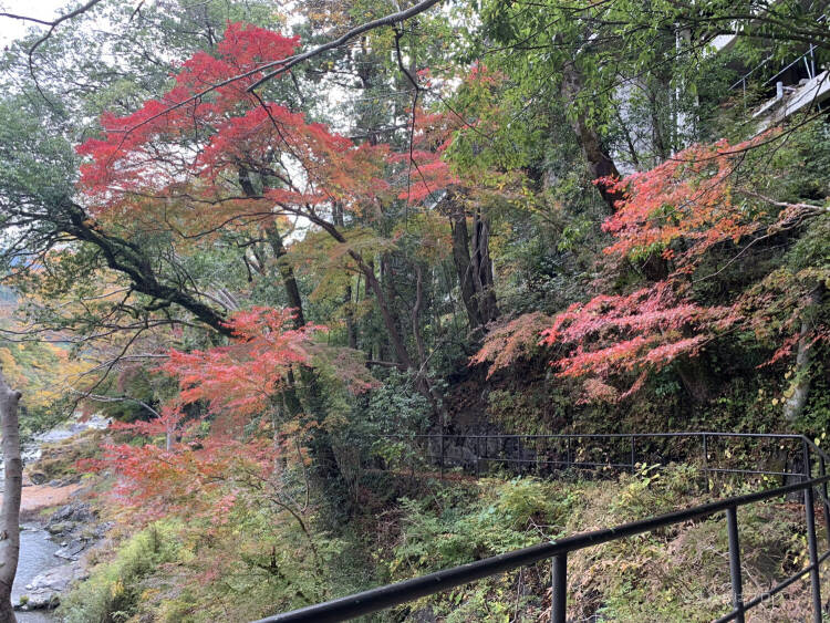 御岳渓谷の紅葉