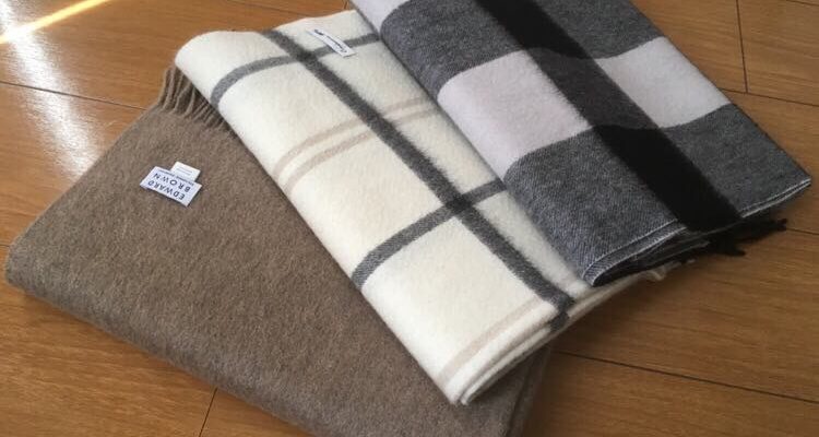 朝晩の寒暖差が激しく何を着たらいいかわからないこの季節を救ってくれるアイテムはストールだと思う