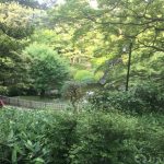 東京都庭園美術館　日本庭園